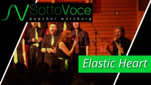 Video „Elastic Heart“
